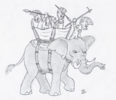 Zebra cavalry.jpg