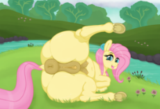 1583308__explicit_artist-colon-mittsies_fluttershy_anatomically correct_anus_belly_belly button_big belly_clitoris_crotchboobs_cute_cute porn_dock_fema.png