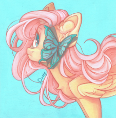 3667953__safe_artist-colon-dorry_derpibooru+import_fluttershy_pegasus_pony_g4_blue+background_chest+fluff_ear+fluff_female_image_jpeg_mare_simple+backg.jpeg