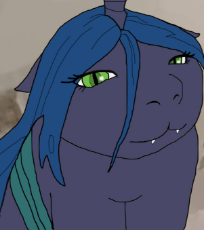 7217594.jpg